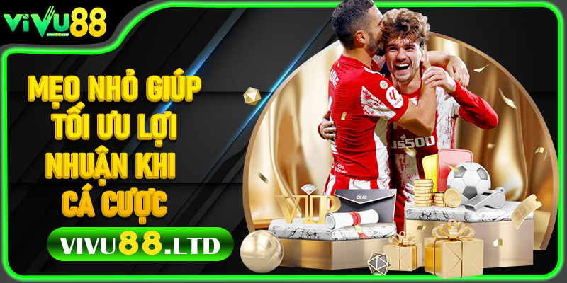 Mẹo Nhỏ Giúp Tối Ưu Lợi Nhuận Khi Cá Cược