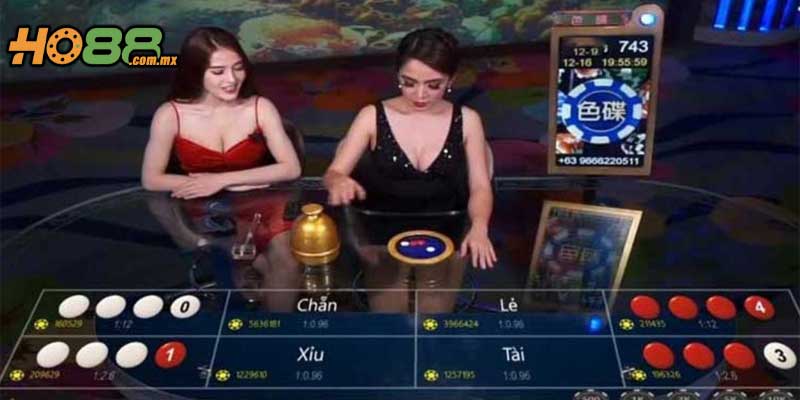 Trải nghiệm thực tế Xóc Đĩa Live sống động