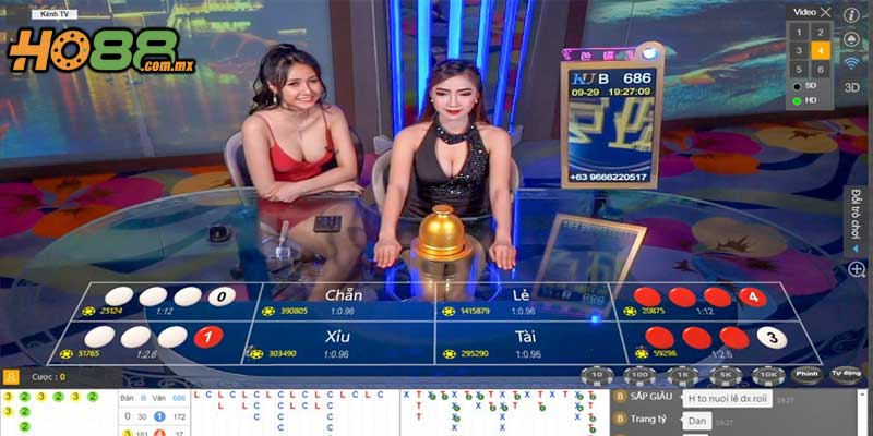 Xóc Đĩa Live – Trải Nghiệm Cá Cược Hấp Dẫn Nhất Trên HO88